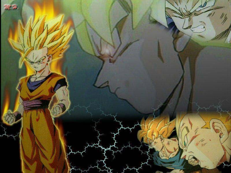 dbzwallpaper14.jpg
